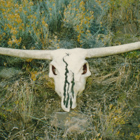 Cow skull sculpture of Brooks and Dunn logo